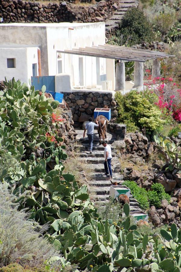 Giardino Dei Carrubi- Al Gradino 365 Bed & Breakfast *